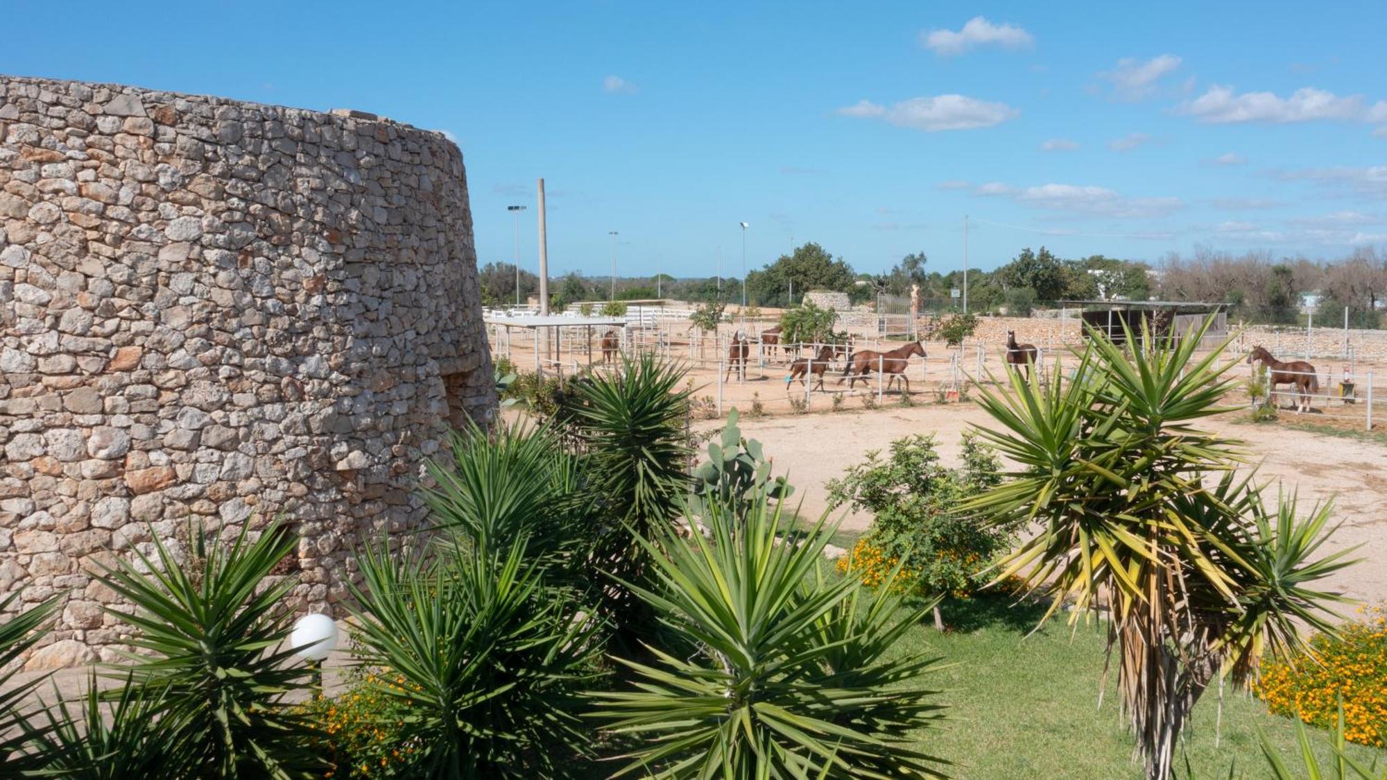 Delle Rose, Hotel & Horse Riding 托雷瓦多 外观 照片